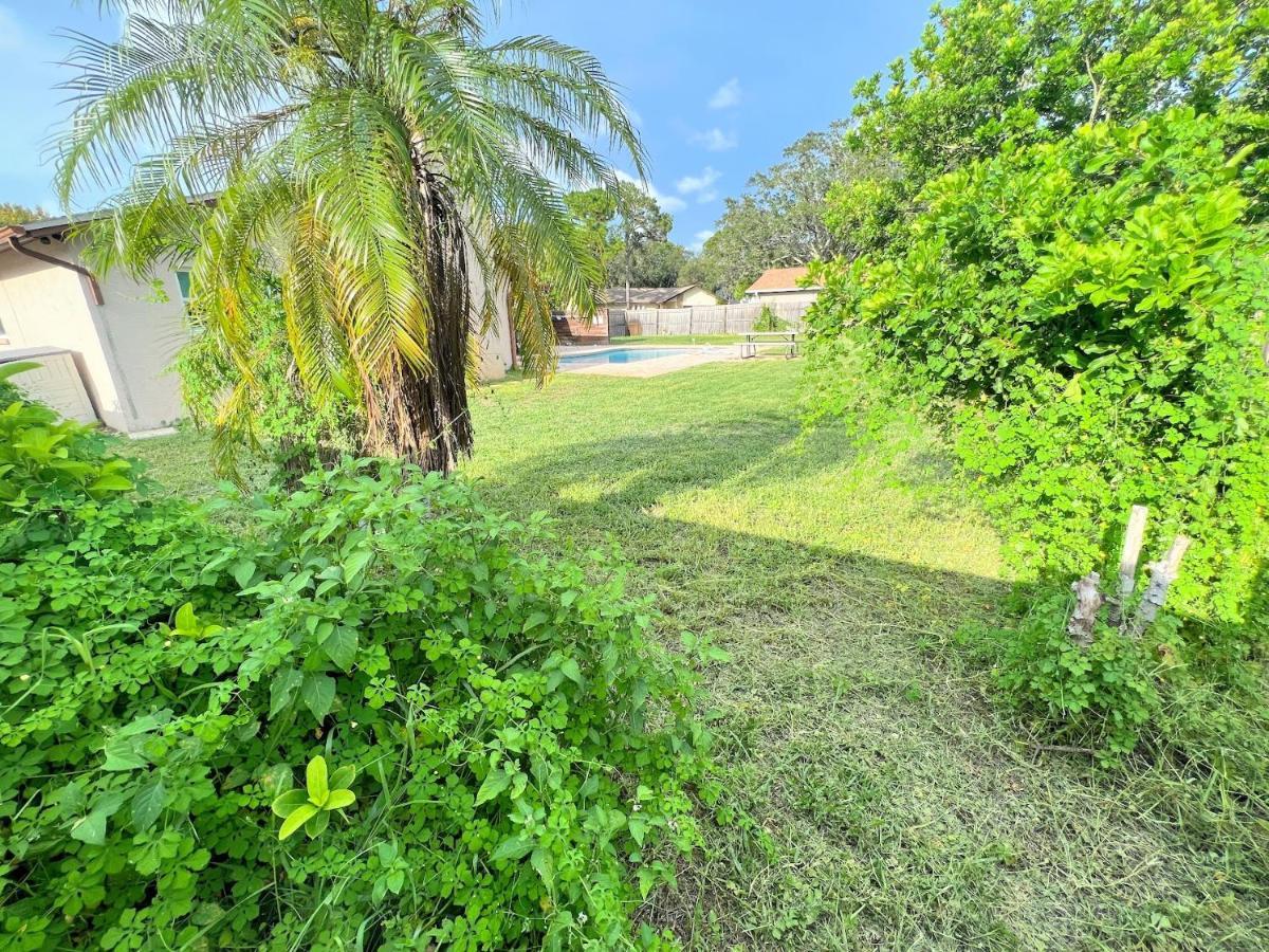 Seminole Dream Vacation Home W Heated Pool Close To Beaches Clearwater St Pete Sleeps 14 מראה חיצוני תמונה